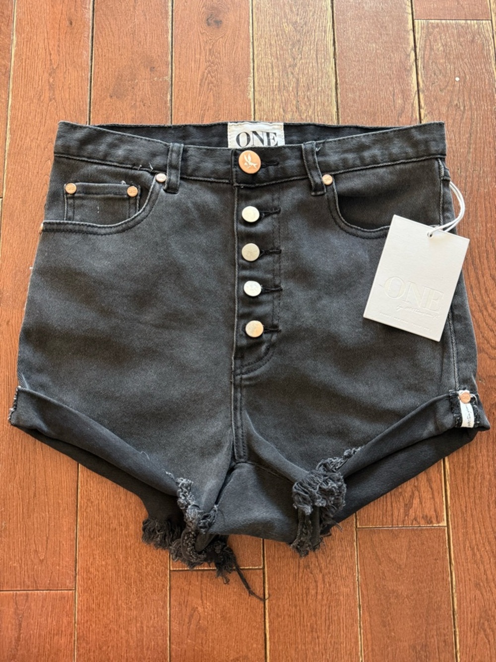 One Teaspoon stretch high rise black denim shorts